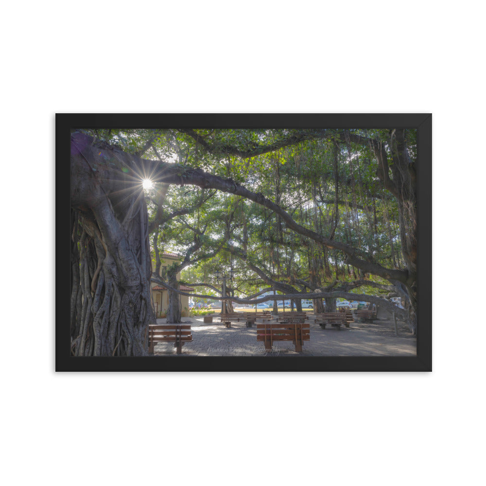 Lahaina