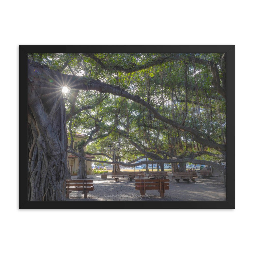 Lahaina