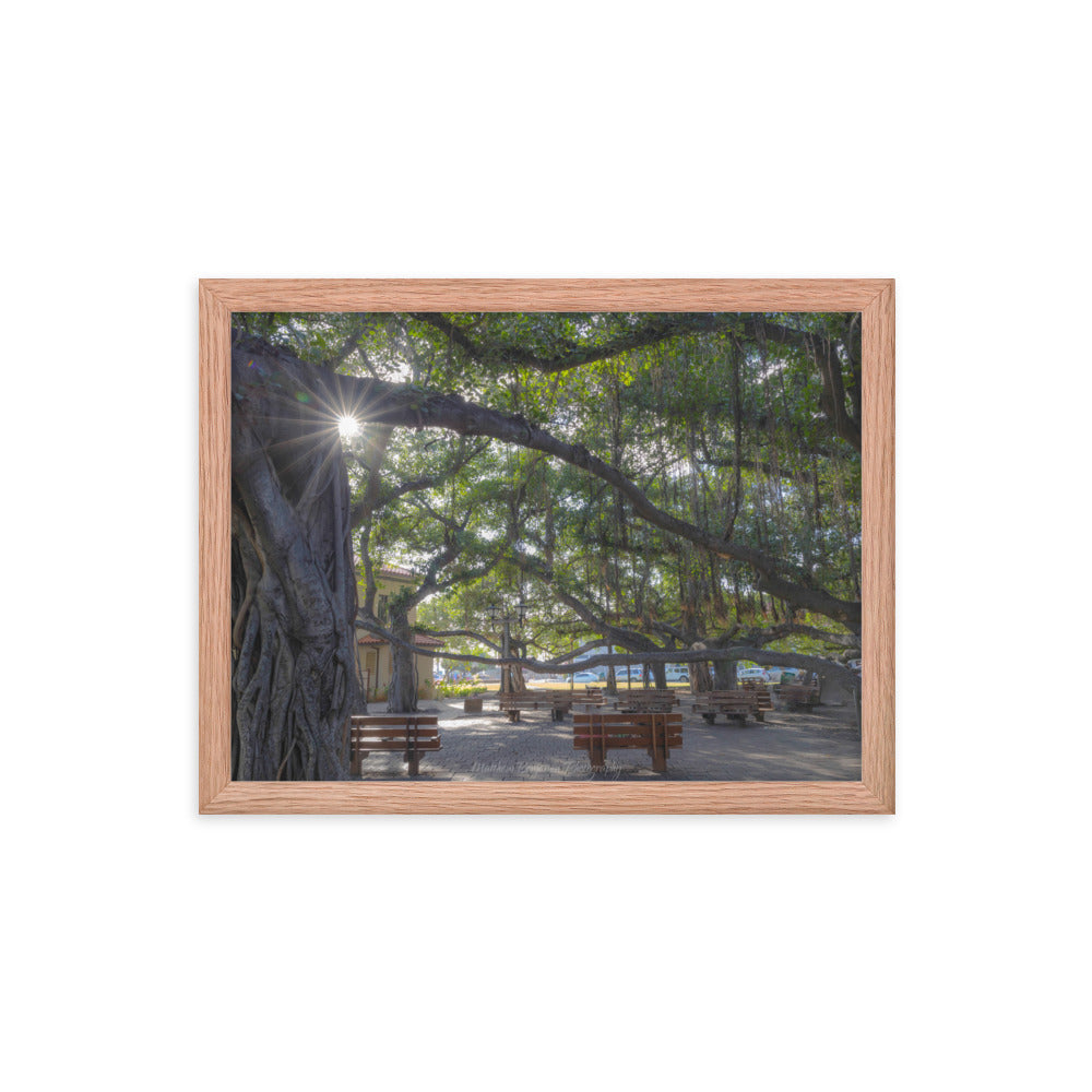 Lahaina