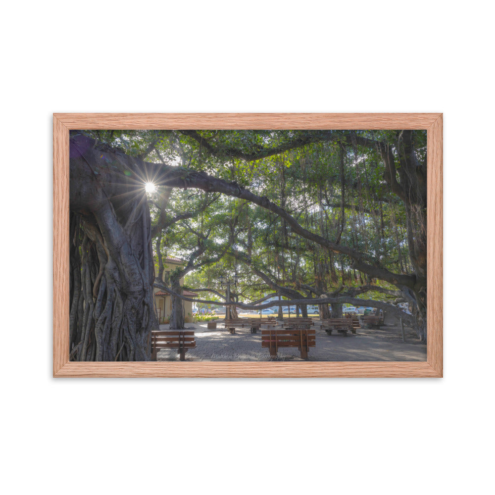 Lahaina