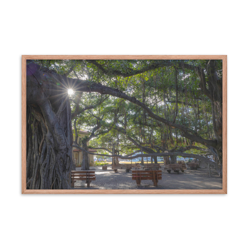 Lahaina