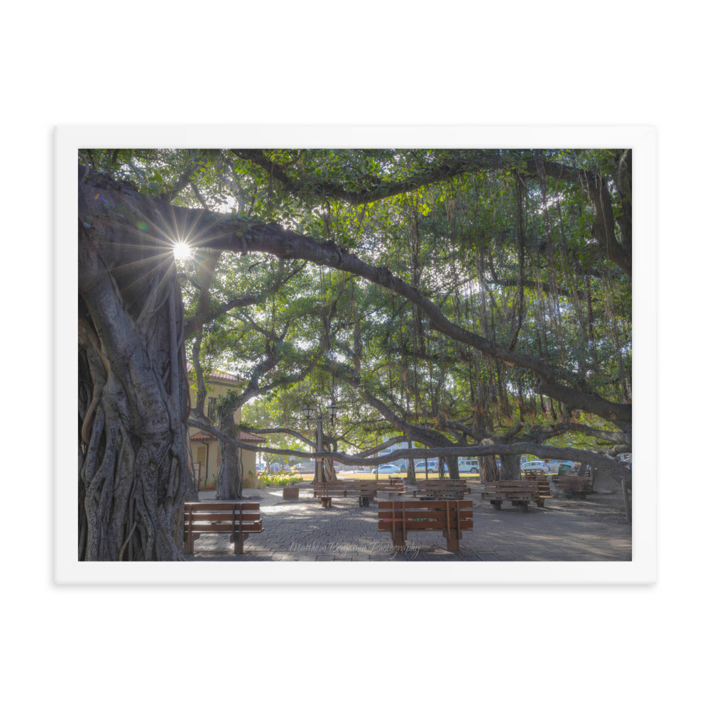 Lahaina