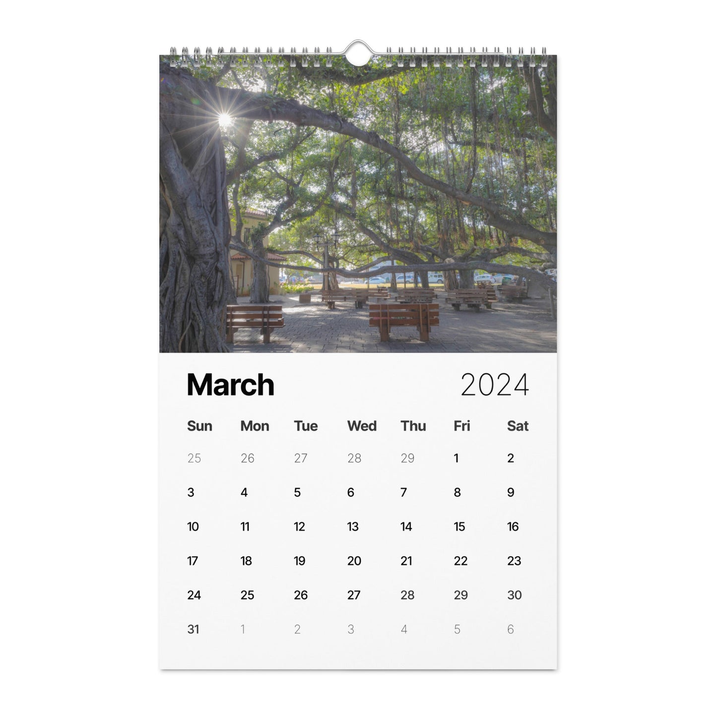 Wall calendar (2024)