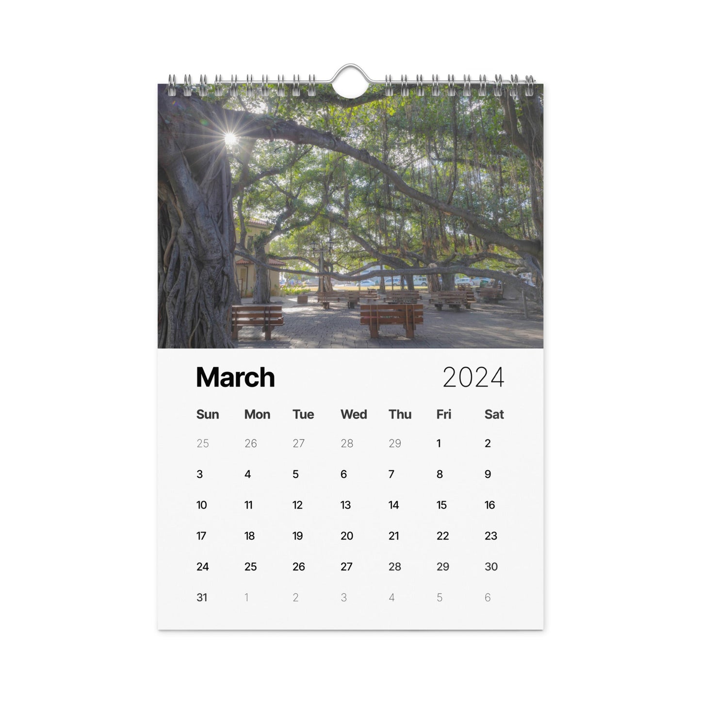 Wall calendar (2024)