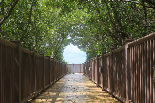 Top 5 Best Hotels In Tampa, Florida