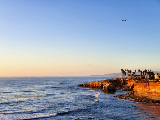 Top 5 Best Hotels in San Diego