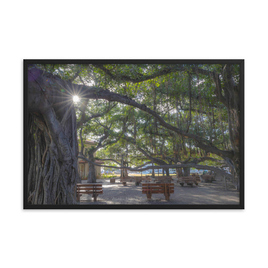 Lahaina