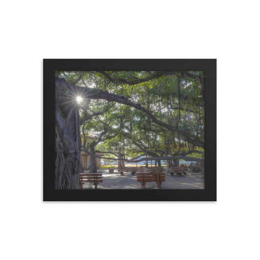 Lahaina